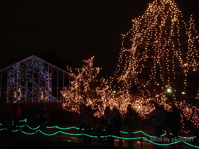 077 Toledo Zoo Light Show [2008 Dec 27].JPG - Scenes from the Toledo Zoo Light Show.
